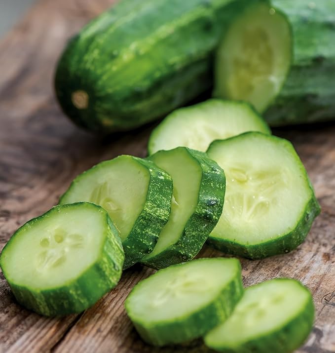 Burpee 'Bush Champion' Slicing Cucumber Seeds, 60 Non-GMO seeds, Container Friendly, Burpee Exclusive