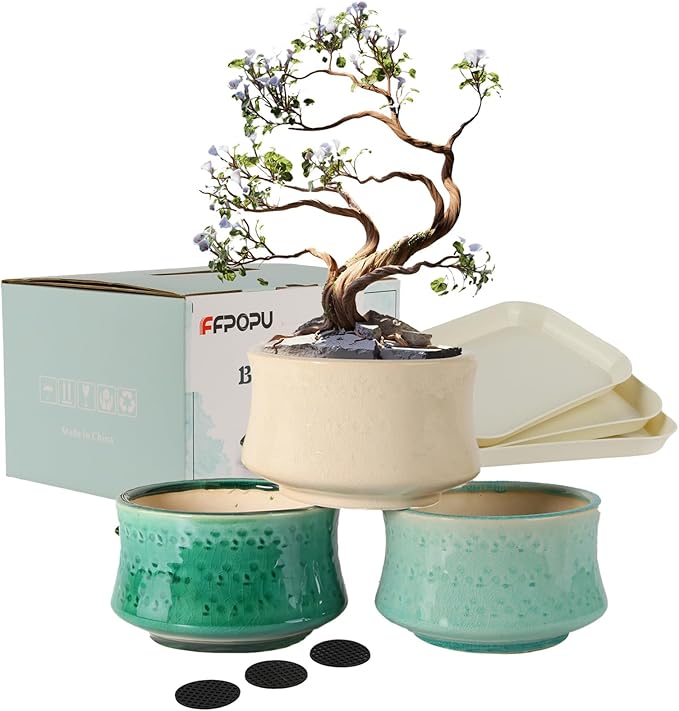 FFPOPU 3-Packs Ceramic Bonsai Pots with Drainage Tray, 6-inch Cute Bonsai Tree Pot with Ice Cracked Glaze, Small Bonsai Planter Pot for Desktop Decoration