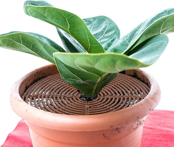 4 Pcs Plant Pot Grid Soil Protector Covers Cuttable Flower Cover from Animals 20.5" 11.8" Cat Digging Stopper Plant Pot Cover with Stakes for Indoor Outdoor Gardening(Brown)