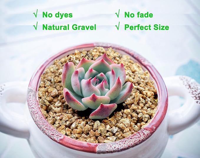 5lb Succulent and Cactus Maifanitum Stones, Décor & Additive Rocks,DIY Rocks Gravel for Bonsai, Fairy Gardening, Vases Fillers, Terrarium