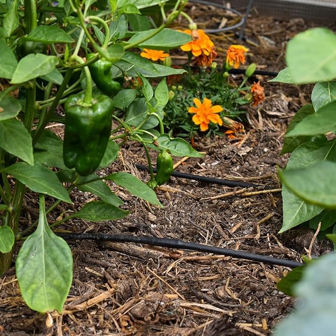 DIG ML-509, 500', ¼" MICROLINE Dripline - 9” Spacing, Color Black – UV Protected Drip Line