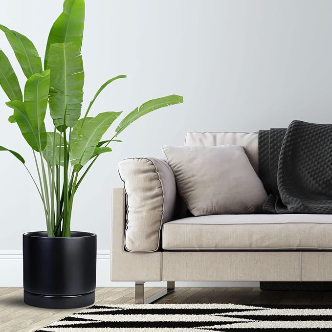 Ceramic Plant Saucer Black Deep Pot Tray - 1 Pack 15 inch, Planter Saucers Water Drip Trays for Indoors Outdoor, Thick Durable Sturdy Flower Pot Saucers for Glazing Pots Base, More Sizes 3-15 inch