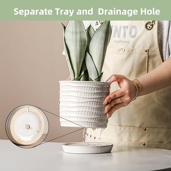 6 Inch Plant Pot: Ceramic Planter with Drainage Hole & Saucer - Cream White Flowerpot for Indoor & Outdoor Plants - with Separate Tray for Home & Office - Wave Embossed Design