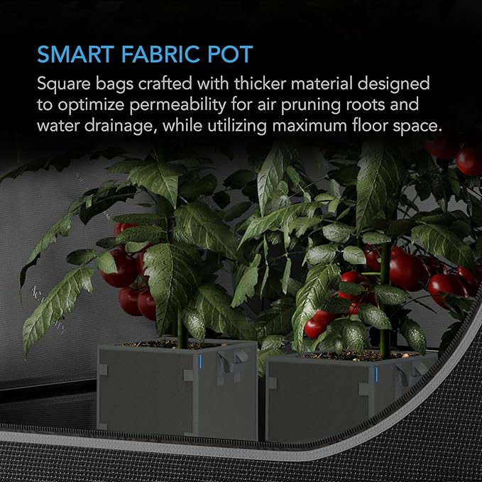 AC Infinity Square Heavy Duty Fabric Pots, 3 Gallon Aeration Reusable Grow Bags 5-Pack with 500G Thick Nonwoven Fabric and Plant Stake Loops, for Garden Growing Fruits, Vegetables, and Flowers