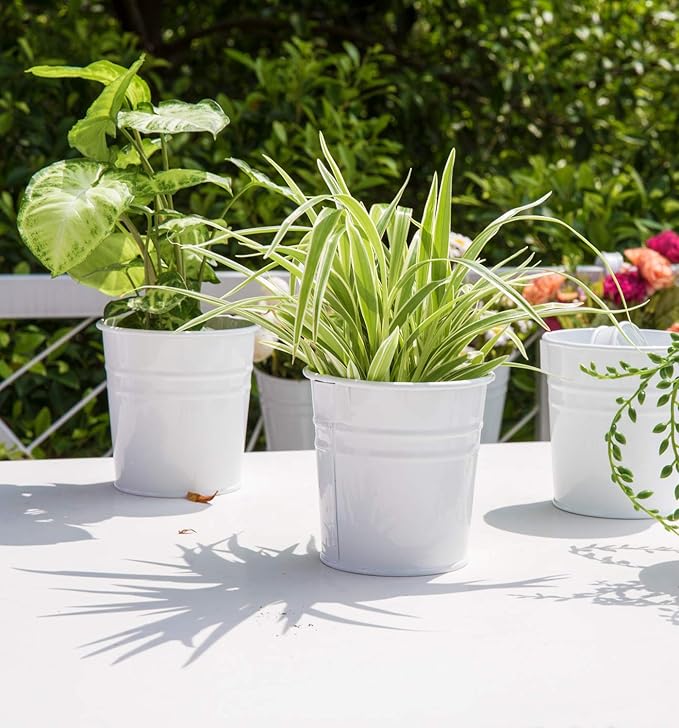 Dahey 10 Pcs Hanging Flower Pots Metal Iron Bucket Planter for Railing Fence Balcony Garden Home Decoration Flower Holders with Detachable Hooks, White, 4 Inches