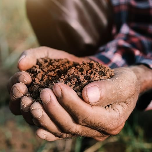 Earthborn Elements Ammonium Sulfate (1 Gallon), Soil Additive, Source of Nitrogen