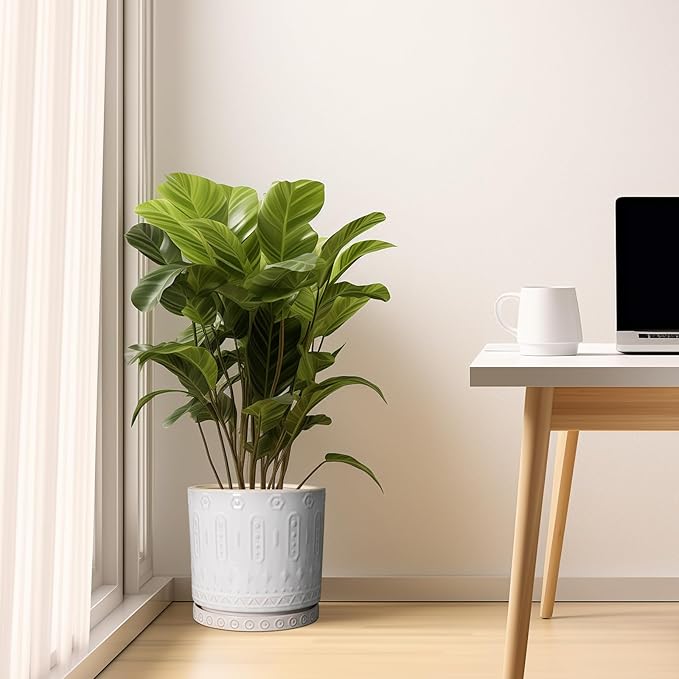 Ceramic Planter Pot - 10 Inch Plant Pot for Indoor Outdoor Plants Round Large Flower Pot with Drainage Holes and Saucer for Home Garden Patio Decor White