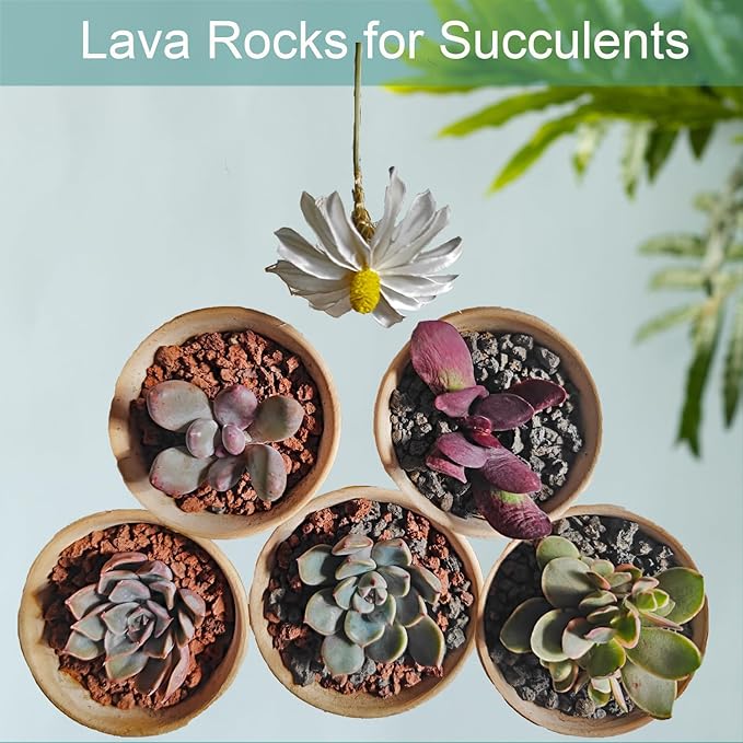Lava Rocks for Plants, 5lbs Volcanic Stones Gravel Horticultural Drainage Potting Soil for Indoor Outdoor Plants, Succulents, Bonsai, Cactus, Vase Fillers, Top Dressing (5LBS, RED, 1)