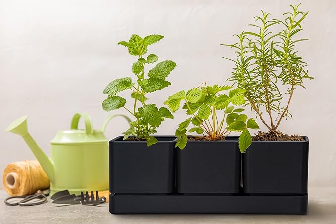 D'vine Dev Herb Garden Planter Set, Plastic Plant Pots with Drainage and Saucer, Indoor Succulent Cactus Vegetable Pot for Windowsill, Garden Balcony, Black, Set of 1, 76-V-B-1