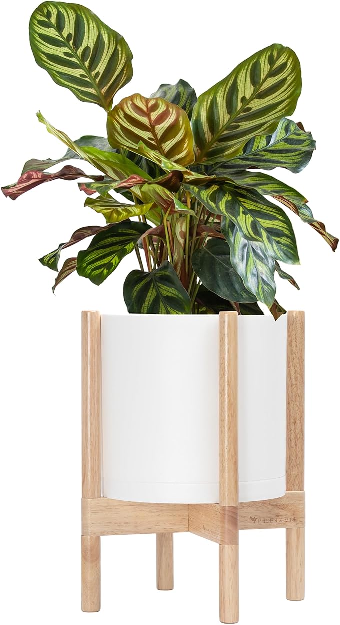 D'vine Dev Planter Pot with Stand - 10 Inch Plastic Cylinder Flower Pot with Wood Planter Holder for Indoor, Matte White Pot + Natural Stand, 55-C-M-1