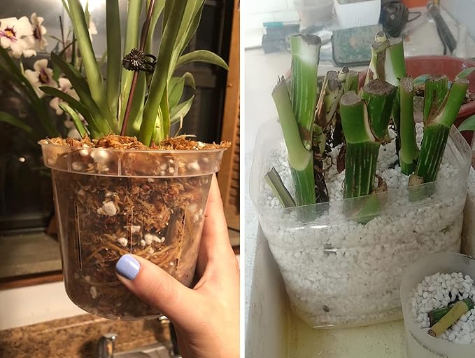 15 QT Professional Grade Horticultural Organic Perlite (15 QT, Perlite)