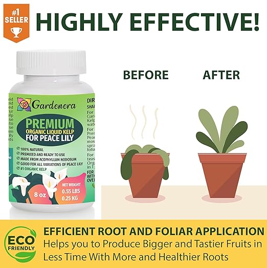 Concentrated Kelp & Seaweed Extract for Strong and Resilient Peace Lilies - 16 oz