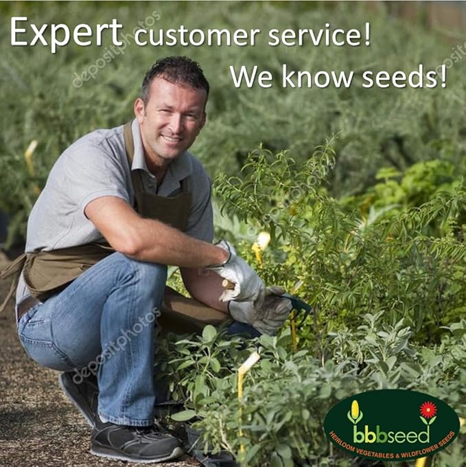 Honey Source Wildflower Seeds Mix for Honey Bees 1oz - Premium Annual and Perennial Flower Seed Mix – Bulk Planting for Pollinator