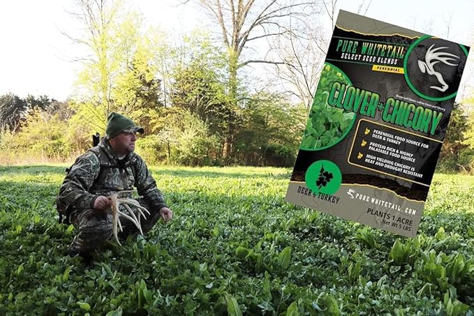 Clover/Chicory | Select Seed Blends | All Season Whitetail Deer and Turkey Perennial Food Plot Seed | Drought Resistant | Easiest Turkey and Deer Feeders | 5 lb Bag | 3-Pack