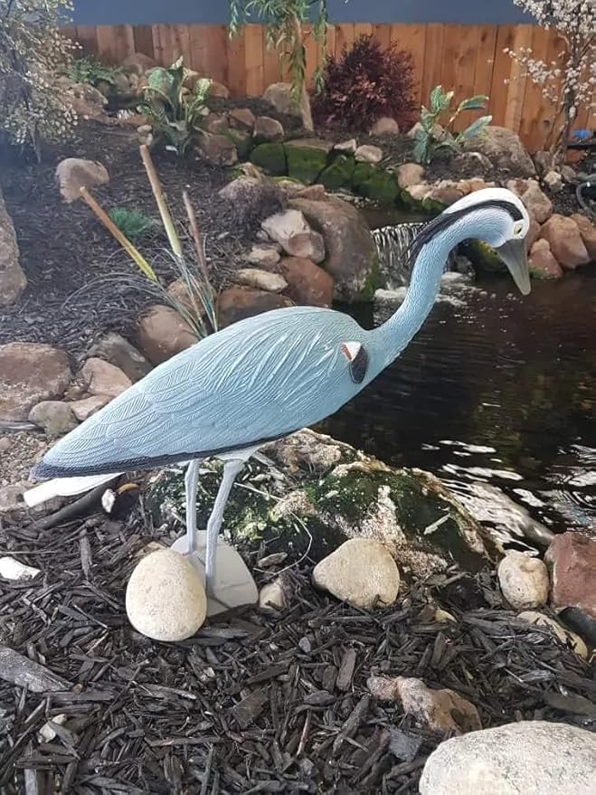 Blue Heron Decoy with Legs & Stake 30'' (76cm) Tall, Adult Blue Heron Statue for Backyard Koi Fish Ponds, Yards & Water Gardens