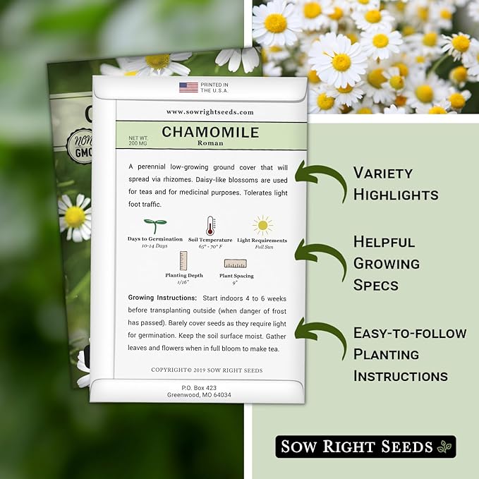 Sow Right Seeds - Roman Chamomile Seeds for Planting - Non-GMO Heirloom Packet with Instructions to Grow an Herbal Tea Garden - Indoors or Outdoor - Low Growing with Small Daisy-Like Blooms (4)