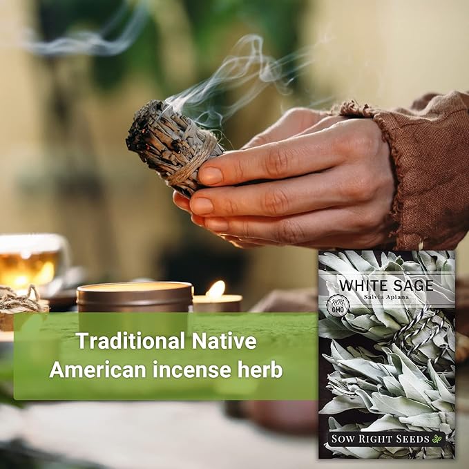 Sow Right Seeds - White Sage Seed for Planting - Non-GMO Heirloom Packet with Instructions for Planting and Growing a Home Herb Garden - Indoors or Outdoors - Make Your Own Herbal Incense (4)