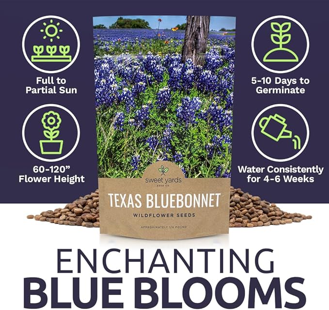 Texas Bluebonnet Wildflower Seeds - Bulk 1/4 Pound Bag - Over 4,000 Native Seeds - Texas State Flower!