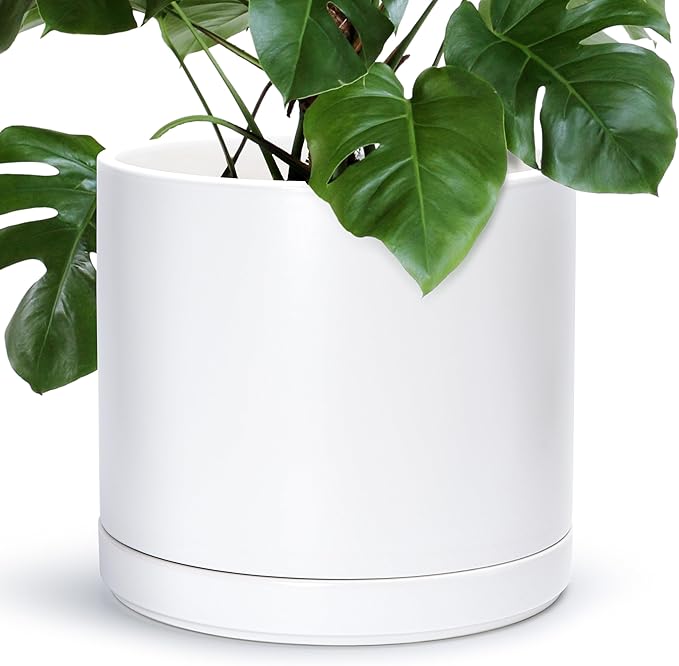 D'vine Dev 14 Inch Ceramic Planter Pot with Drainage Hole and Saucer, Indoor Cylinder Round Planter Pot, White, 94-O-G-1