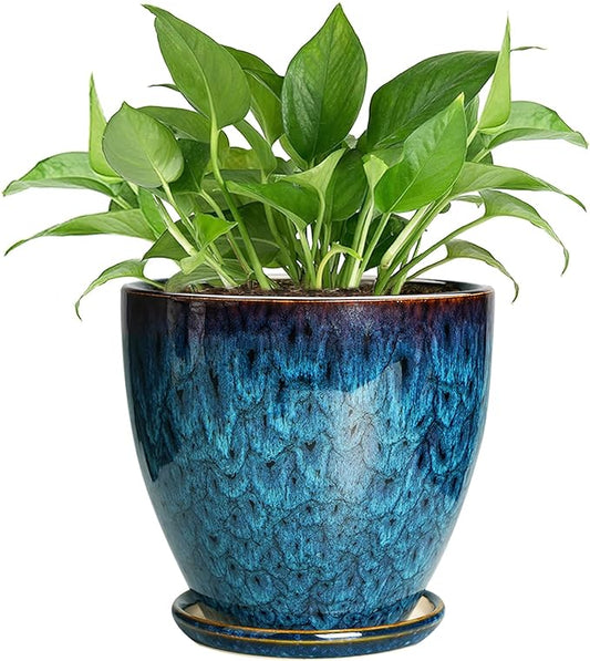 Ceramic Plant Pot, 6 Inch Ceramic Planter Pot with Drainage Hole and Saucer, Succulent Round Flower Pot for Indoor Plants Outdoor, Blue