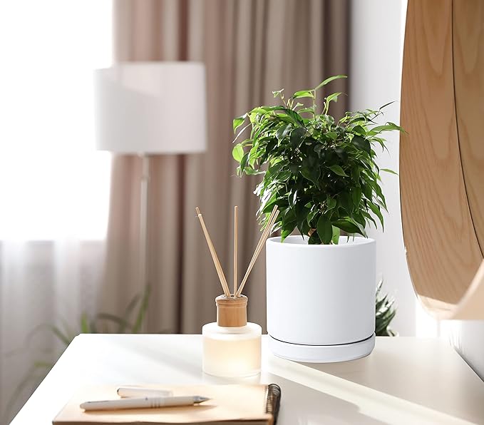 D'vine Dev Set of 2 Plants Pots, 6 Inch Ceramic Planter Pot for Plants with Drainage Hole and Saucer, White, 94-V-C-1