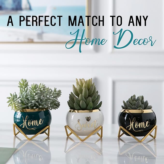 House Warming Gifts New Home, Housewarming Gifts for New House, Best Housewarming Gifts, Home Essentials for New Home Gift Ideas, Living Room Home Decor Farmhouse | 3 Succulent Pots for Plant Lovers