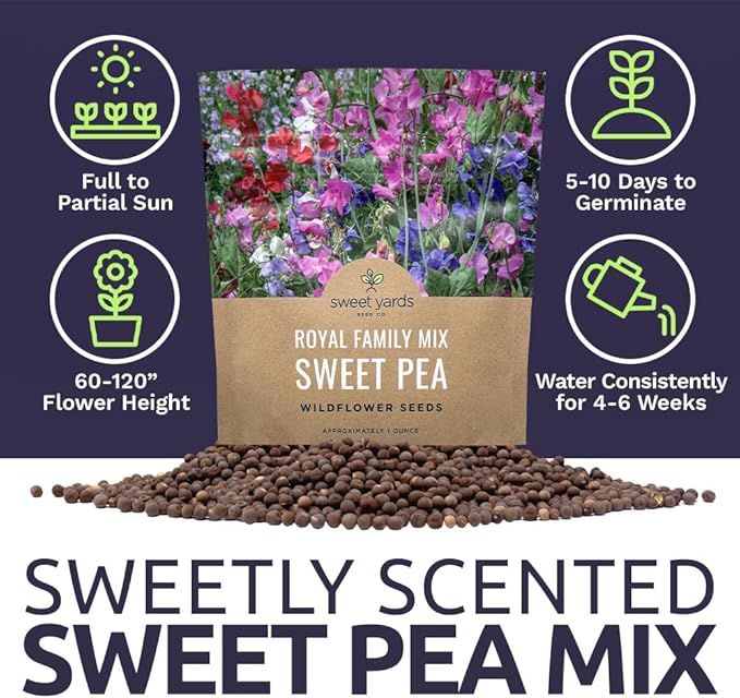 Sweet Pea Seeds Royal Mix - Bulk 1 Ounce Packet - Over 350 Seeds - Large Fragrant Lavender, Purple, Red, Pink and White Blooms