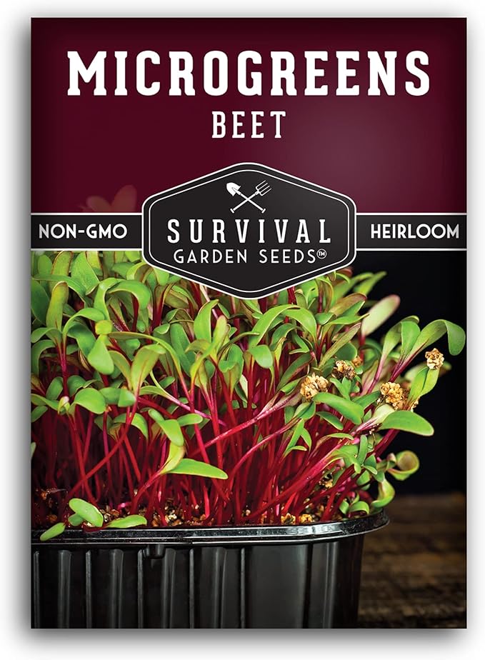 1 Pack Beet Microgreens Seeds for Planting and Growing - Plant Green Leafy Micro Vegetable Plants Indoors - Grow Your Own Mini Windowsill Garden - Non-GMO Heirloom - Survival Garden Seeds