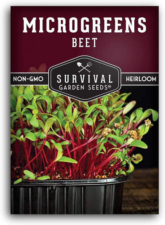 1 Pack Beet Microgreens Seeds for Planting and Growing - Plant Green Leafy Micro Vegetable Plants Indoors - Grow Your Own Mini Windowsill Garden - Non-GMO Heirloom - Survival Garden Seeds