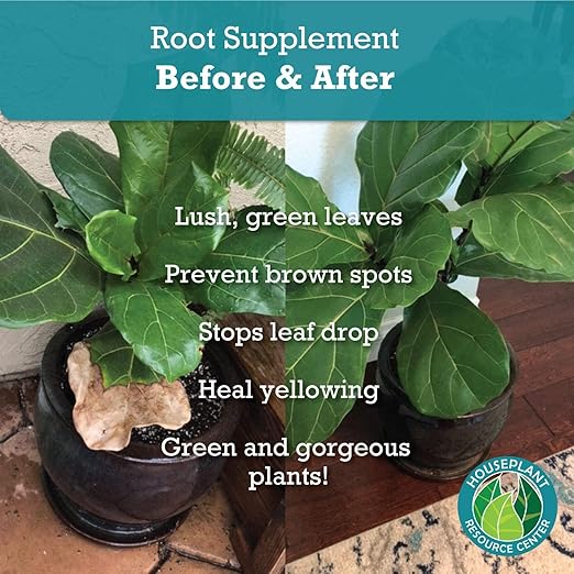 Root Supplement, Liquid Root Stimulator - for Fiddle Leaf Fig & Indoor Plants - Propagation Promoter, Root Rot Treatment - Food for Healthy Roots, Stems, & Leaves - 8 Oz