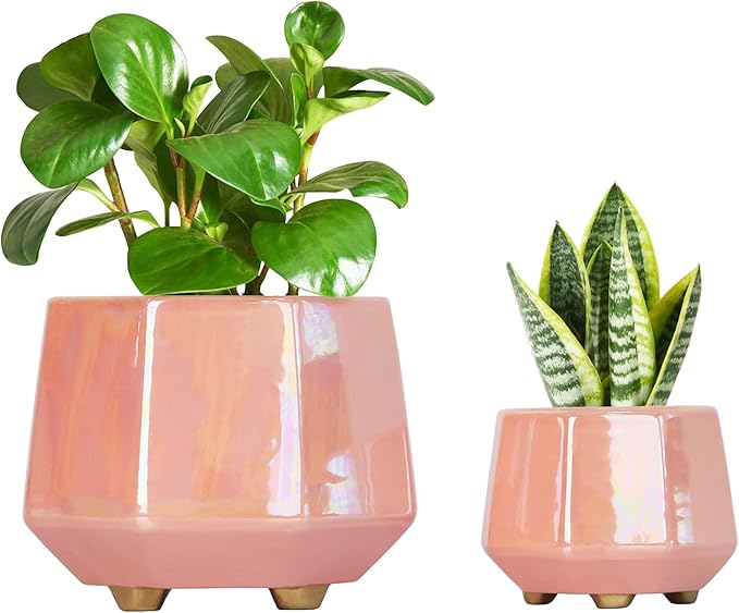 6 Inch + 4 Inch Ceramic Planter for Indoor Plants - Plant Pots with Drainage Hole - Modern Minimalist Flower Pot for Succulents and Herbs, Pink