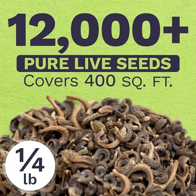 Calendula ‘Pacific Beauty Mix’ – Bulk Quarter Pound Bag – Over 12,000 Open Pollinated Non-GMO Wildflower Seeds – Calendula officinalis