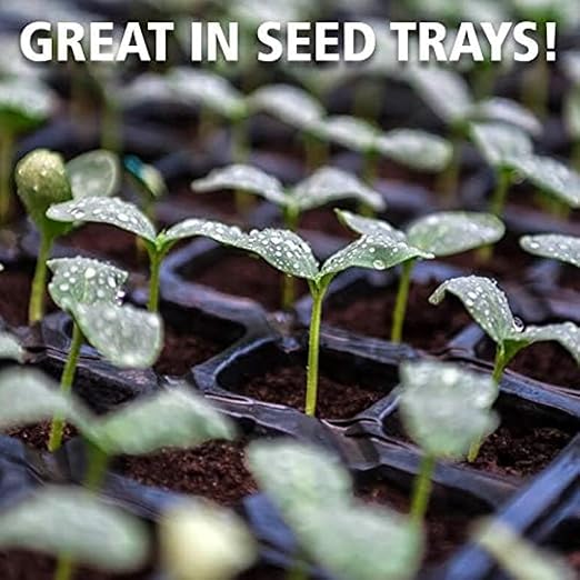 Coast of Maine, 8qt (Pack of 2) Sprout Island Blend, Organic & Natural Seed Starter for Seed Germination & Root Plant Cuttings