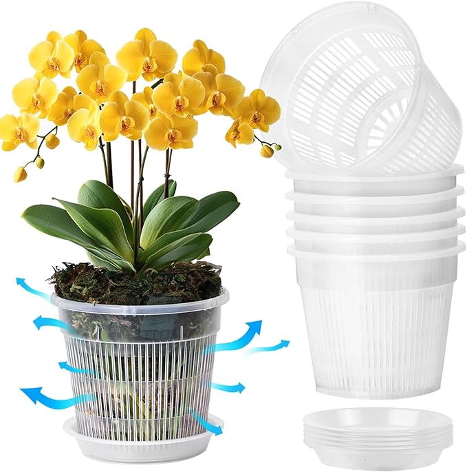 T4U Orchid Pot, 6 Pack 5.5 Inch Clear Orchid Pots with Holes and Saucers for Repotting, Plastic Flower Plant Pot with Drainage for Indoor Outdoor Plants, Slotted Orchids Planter for Root Health