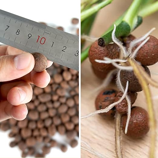Leca Expanded Clay Pebbles 10LBS Grow Media for Indoor Plants Hydroponic Growing Gardening System Supplies …