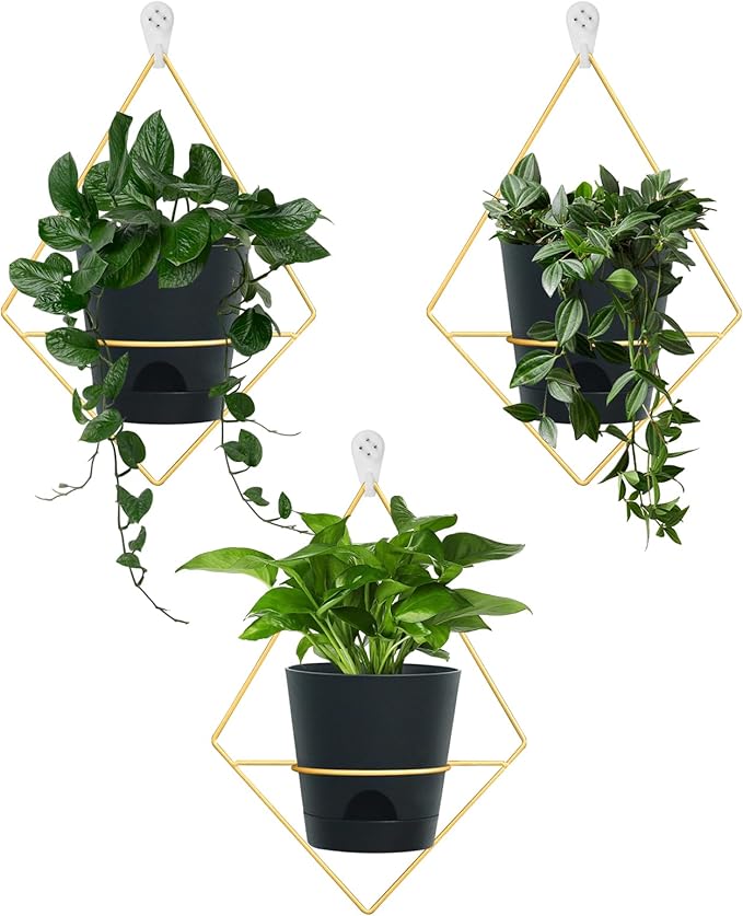 3 Sets of Wall Planters for Indoor Plants, Hanging Wall Planter with Gold Metal Holder, Geometric Self Watering Wall Flower Pots, Wall Mounted Succulent Planter, 5" Black Plant Pot