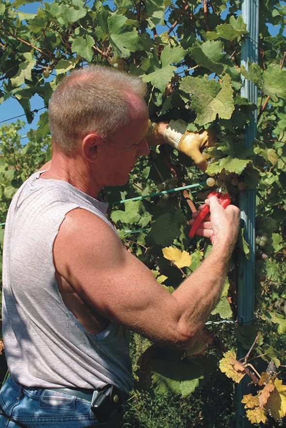 Felco Pruning Shears (F 310) - High Performance One-Hand Garden Pruners - F-310