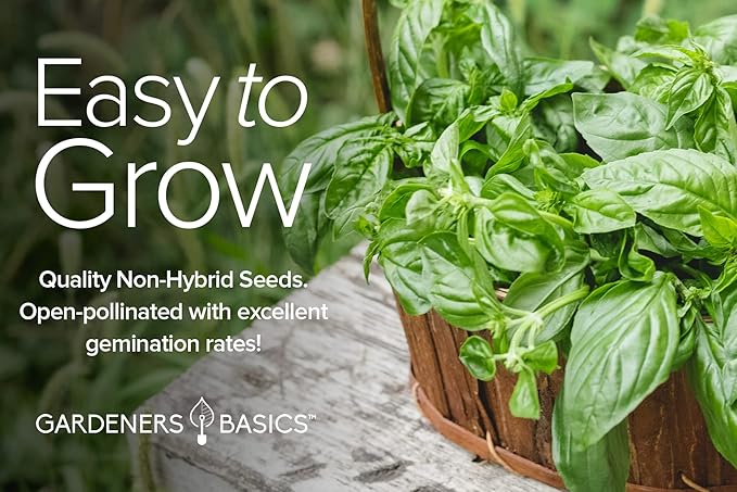 Gardeners Basics, Italian Herb Seeds for Planting 5 Variety Herbs Seed Packets Including Italian Flat Leaf Parsley, Sage, Oregano, Thyme, Basil - Great for Kitchen Herb Garden, Hydroponics Heirloom