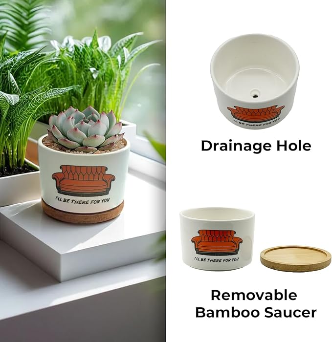 Friends TV Show Merchandise Gifts, 3 Pack Ceramic Succulent Pots, Vintage Style Patterns, 3.15 inch Succulent Planter Pots with Drainage Hole and Bamboo Saucer for Home Decor