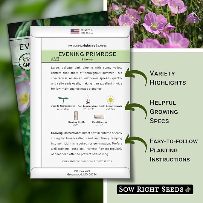 Sow Right Seeds - Showy Evening Primrose Flower Seeds for Planting - Non-GMO Heirloom Packet with Instructions - Native Wildflower for Pollinators - Perennial Pink Ladies, Mexican Evening Blooms (2)