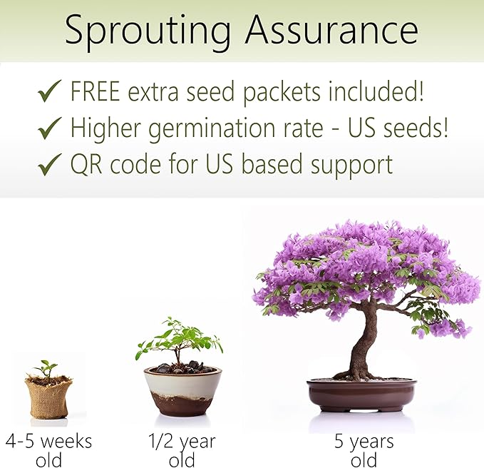 Bonsai Starter Kit – 1x Jacaranda Bonsai Tree | Complete Indoor Starter Kit for Growing Bonsai Plants with Tools & Planters – Gardening Gifts for Women & Men