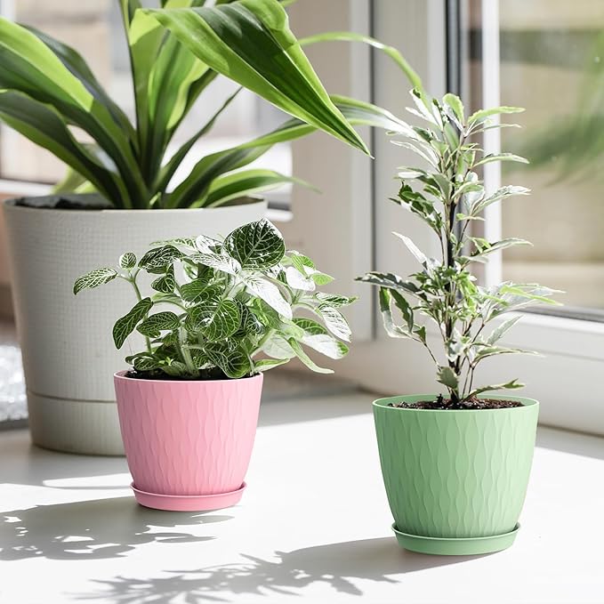 6 inch Flower Pots, 5 Pack Plant Pots with Drainage Holes and Saucers for Indoor Plants, Plastic Planters with Water Ripple for Small Garden House Plants, Nursery Pots for Succulent, Colorful