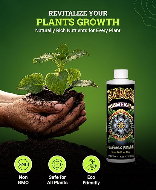 Fox Farm Bushdoctor Boomerang Fertilizer - for Fast Recovery of Stressed Plants, Root Health, Solubilized Nutrition - Perfect for Hydroponic & Soil Application- NPK 2-0.2-0.3, (Pint)