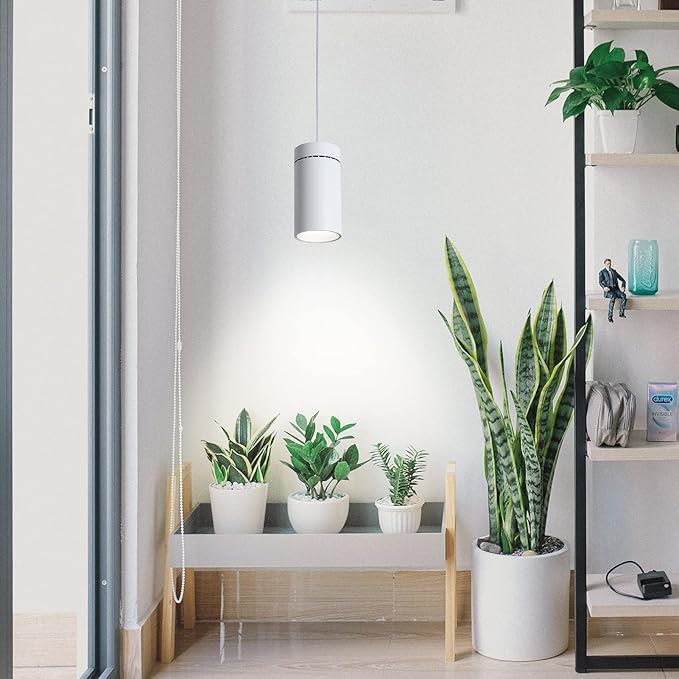 HMVPL Hanging Grow Light for Indoor Plant Full Specturm, Plug in Plant Light with 4000K 40W COB Grow Light Bulb, Small Grow Lamp with Pulley, 4/8/12H Timer for Indoor Seed Plant Flower Output(19ft)