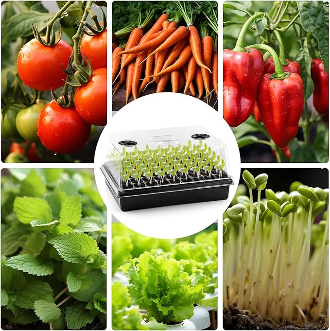 9set Seed Starter Tray with Tall 5'' Dome-Deep Cell Large Plant Germination Trays, Heavy Duty Seed Starting Kit, 486 Cells Plant Seedlings Tray for Balcony Greenhouse (54 Cells per Tray)