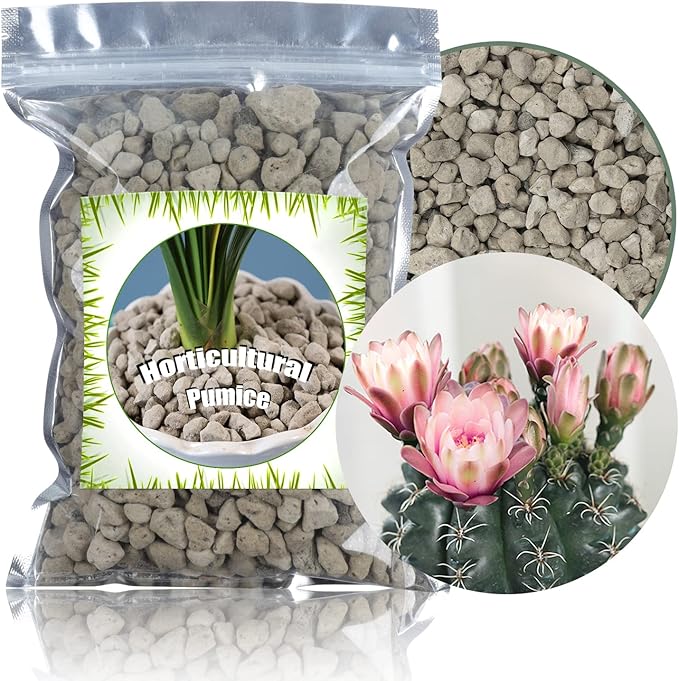 Horticultural Pumice for Plants by Doter 2 QT, Soil Amendment for Bonsai and Cactus Plants