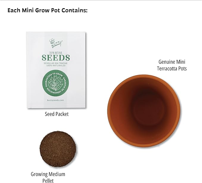 BUZZY Seeds Terracotta Mini Grow Pots | Herb, Plant, Flower Starter Kit for Kids & Adults | Assorted 12-Pack, Bright Series Collection | Guaranteed to Grow | Best Indoor-Outdoor Gardening Gift