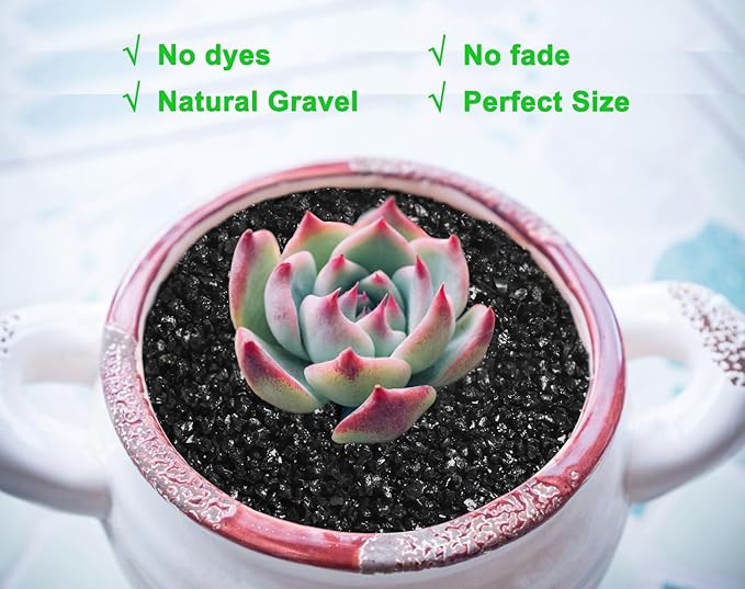 5lb Succulents and Cactus Black Sand, Décor & Additive Tiny Stones,DIY Rocks Gravel for Bonsai, Fairy Gardening, Terrarium, Vases Fillers