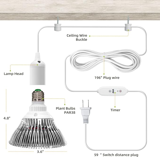 Hanging Grow Lights for Indoor Plants, 25W 5000K, LED Grow Light Bulbs, Height Adjustable Plant Light with Timer, Full Spectrum Grow Light Replace Sunlight for Succulent, Greenhouse by SpeePlant