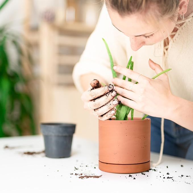 D'vine Dev X-Small 4 Inch Terracotta Plant Pot with Drainage Hole and Saucer, Round Cylinder Planter Pot for Indoor Plants, Set of 2, 40-X-B-1